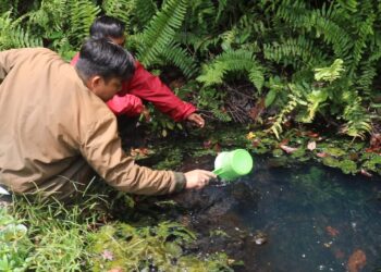 Air Panas di Objek Wisata Tanjab Timur Bisa Langsung Digunakan