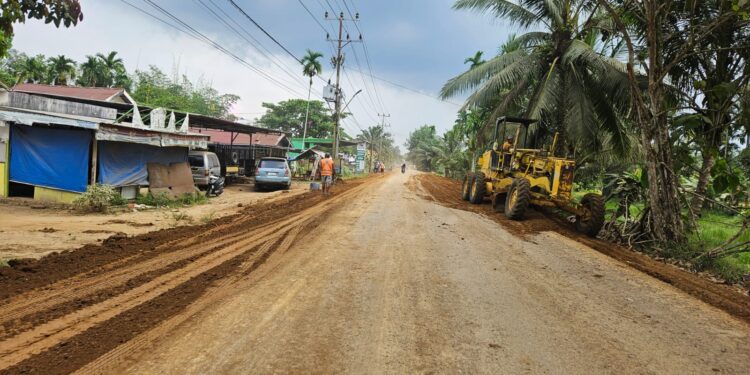 Sejumlah Ruas Jalan Di Tanjabtim Dapat Peningkatan