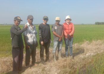 Spontanitas, Dilla-MT Dialog Dengan Petani Saat Agenda Kunjungan… 