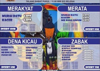 Ayo Ramaikan Latpres Dena Kicau MERAKYAT Dan MERATA