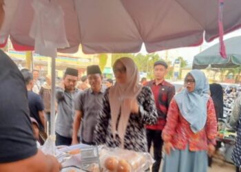 Bupati Tanjabtim, Hj Dillah Kunjungi Pasar Bedug Sabak Barat