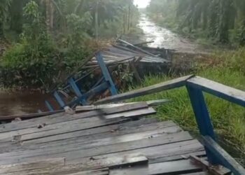 Jembatan Penghubung Desa Jatimulyo – Desa Sidomukti Ambruk