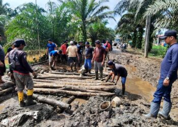 Swadaya, Lurah Bersama Warga Bandar Jaya Kompak Gotong Royong Perbaiki Jalan