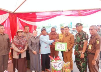 Wabup Tanjab Timur dan Pabung 0419/Tanjab Ikut Kegiatan Penanaman Padi Serentak