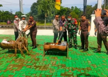 Kejari Tanjabtim Musnahkan Barang Bukti Dari 34 Perkara Masing-Masing Yaitu Terkait Kasus Narkotika Sebanyak 23 Perkara