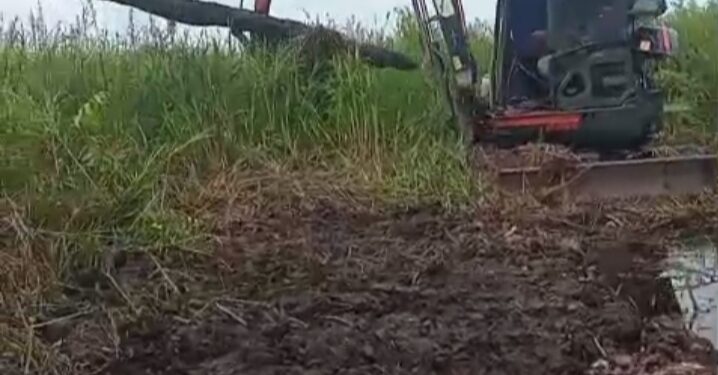 Puluhan Warga Simpang Mengamuk, Tangkap AG di Duga Pengrusak Hutan TAHURA