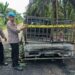 Diduga Angkut BBM, Mobil Terbakar, Kini di Police Line Kapolsek Rantau Rasau